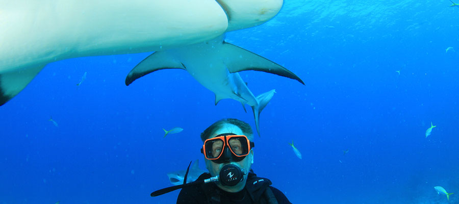 Russell with sharks