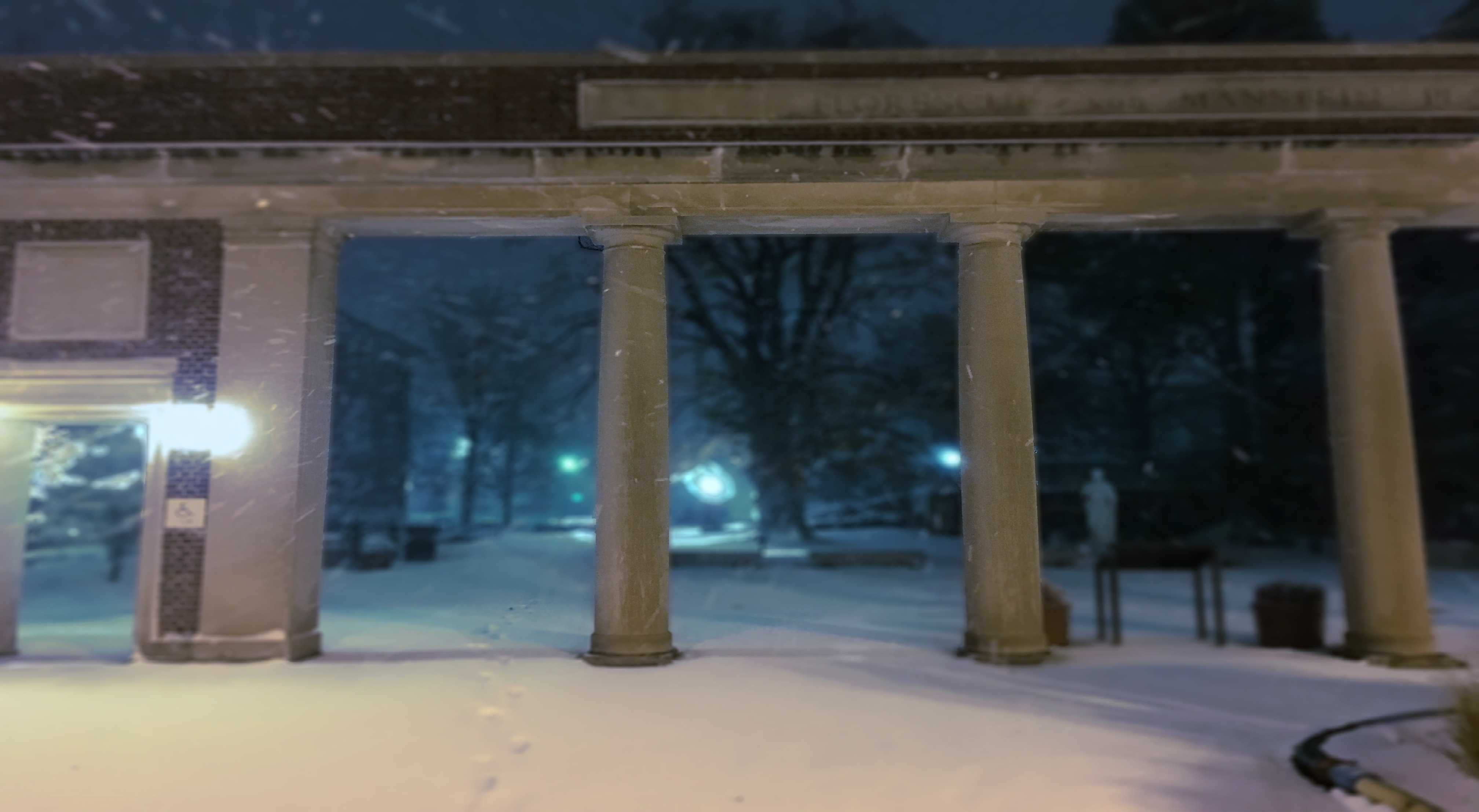 Snowy colonnade