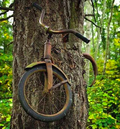 A tree with a cycle