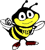 UR yellowjacket